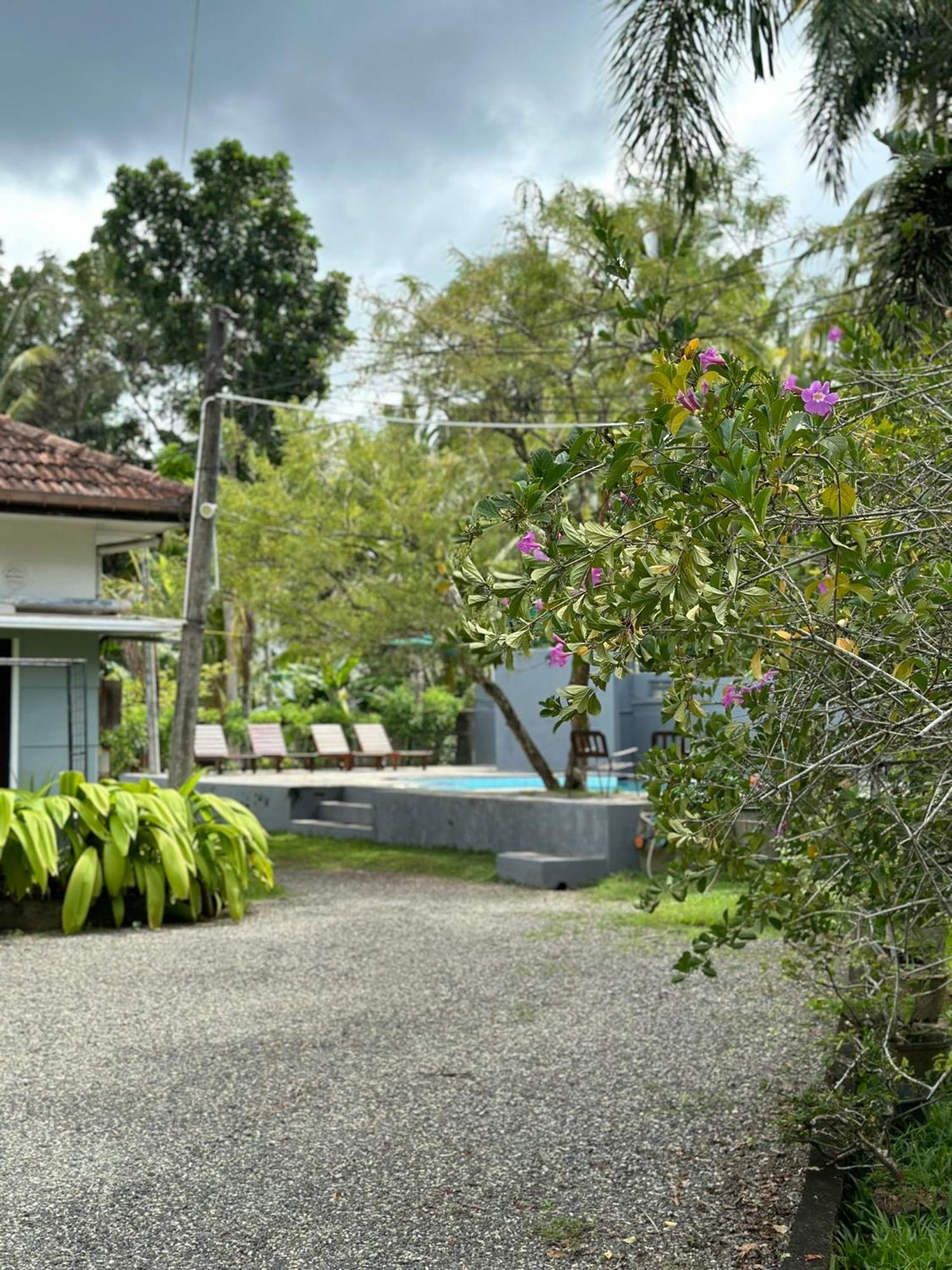Mango Tree Villa Unawatuna Εξωτερικό φωτογραφία